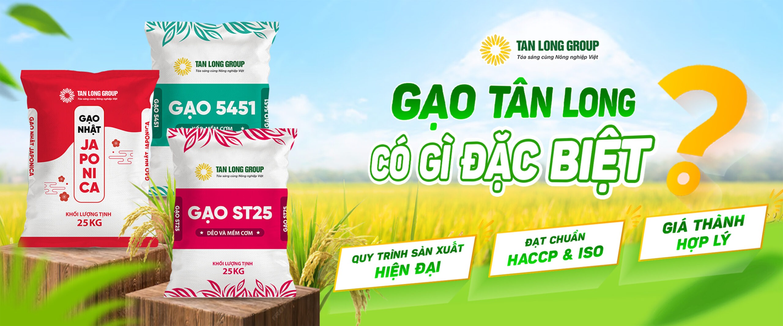 gao tan long giai phap gao horeca