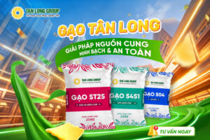 4-gao-tan-long-nguon-cung-gao-chat-luong